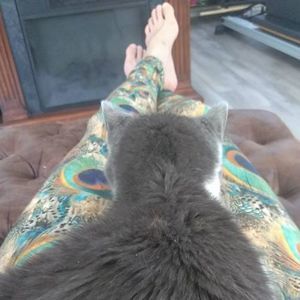 Meet your Posher, Jayoung